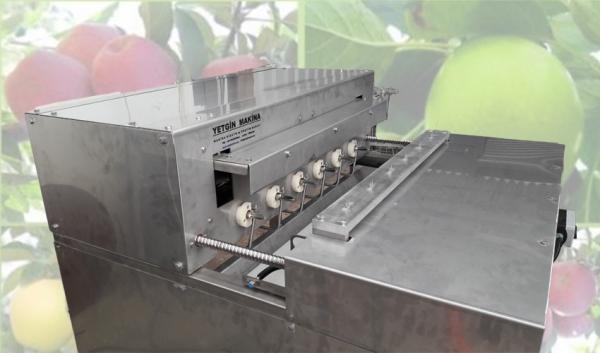 Apple Peeler and Slicer Machine